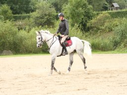 IMG_5287_web
